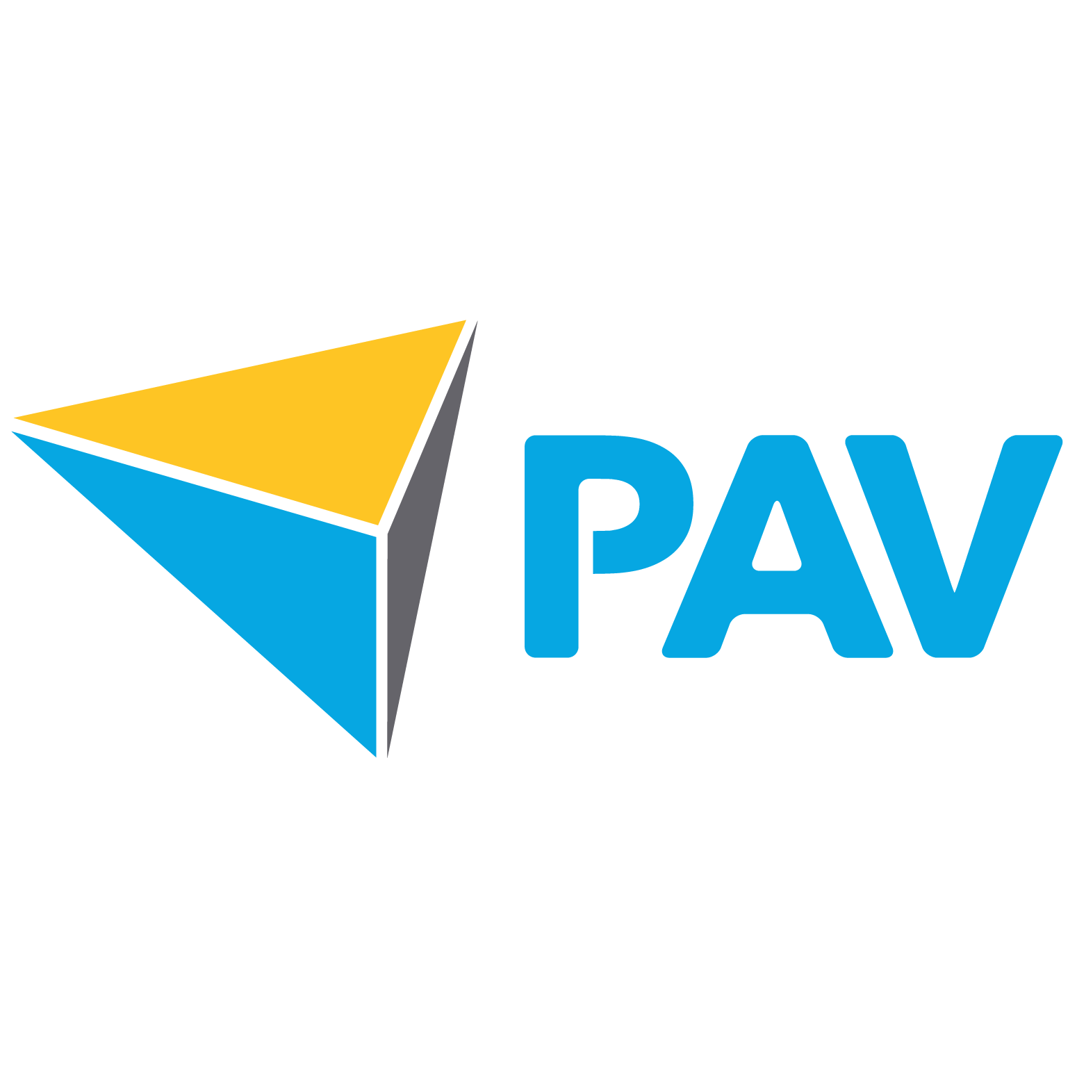 PAV logo