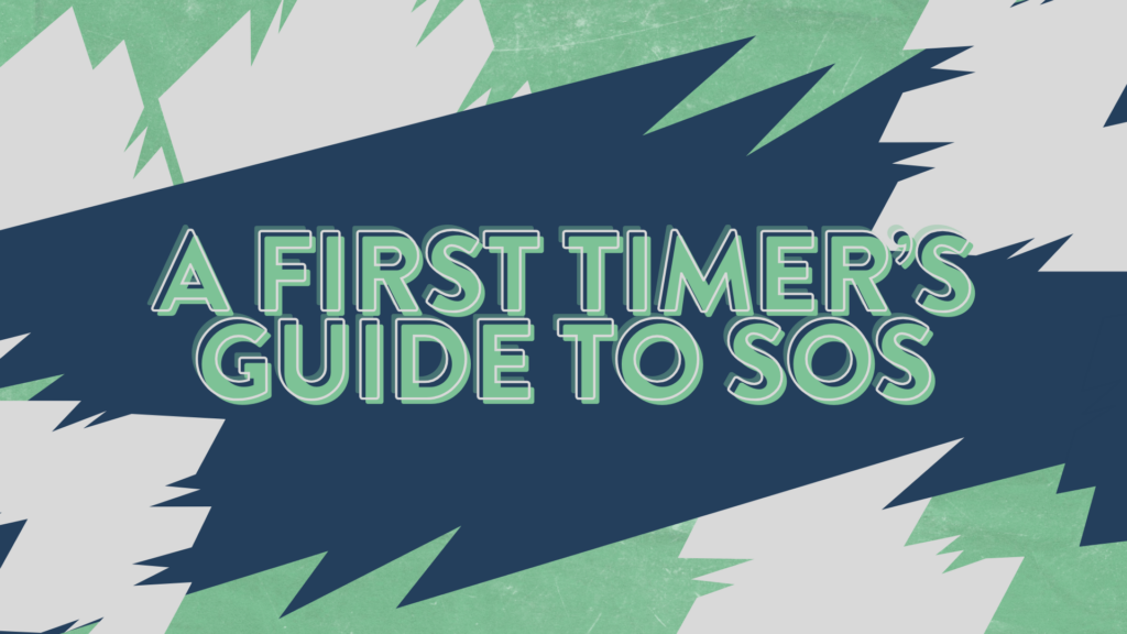 A first-timer’s guide to State of Social